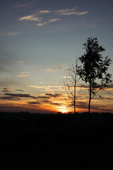 Obraz premium sunset in the forest