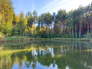 A large body of water with trees in the background