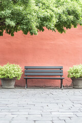 A serene park bench surrounded by greenery and a colorful wall in a quiet urban setting