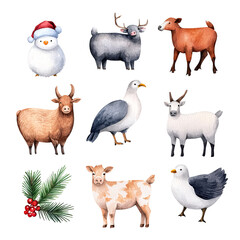 Naklejka premium Colorful animals and winter elements on a white isolate background.