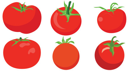 Set of red tomato flat vector illustration. Cartoon style isolated Tomato vector on white background. 