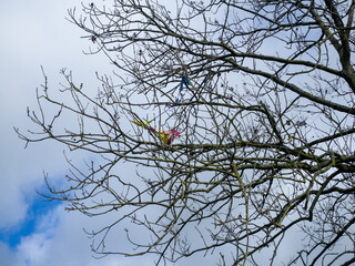 ein Kinderdrachen der schon länger in einem Baum hängt