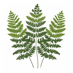 set of branches with waves with White Background.