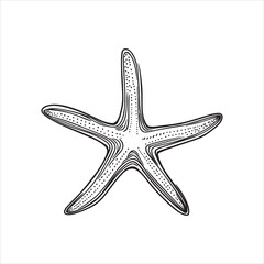 Fototapeta premium Starfish Clipart Design - Sea life Vector illustration in black and white 
