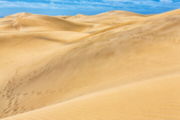Maspalomas Duna - Desert in Canary island Gran Canaria