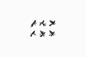 A Cuckoo birds vector silhouette image made by adobe illustrator.