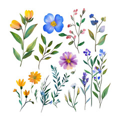Plants and flowers in a isolated transparent background,Watercolor wildflowers and leaves illustration set, Set of wildflowers, Watercolor floral,wedding invitation, pattern,leaf,Nature clip art,Ai