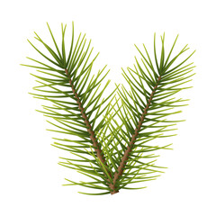 Christmas branch isolated on white