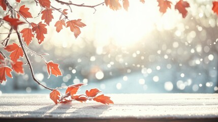 Frozen fallen leaves on wooden table top covered with thin layer of first snow. Forest at late autumn or beginning of winter. Maple leaves with soft backlight from rising sun. Winter season cozy atmos