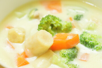 Delicious and warm cream stew prepared with lots of milk and vegetables as ingredients.