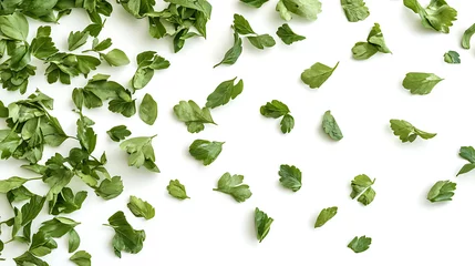 Fresh coriander leaves scattered on white background create vibrant and lively scene © jirawat