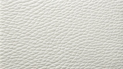 Obraz premium White grained leather texture or background