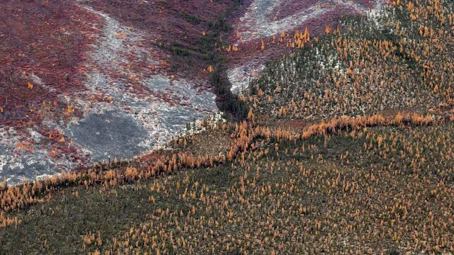 Unspoiled Wilderness With Autumn Trees Over Eagle Plains, Yukon Canada. Aerial Drone Shot