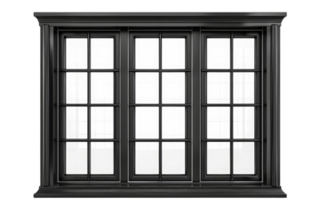 Elegant Black Framed Window with Multiple Panes and Grids Design