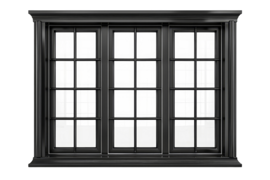 Elegant Black Framed Window with Multiple Panes and Grids Design
