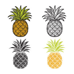 A set of Pineapple vector illustration.