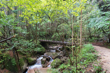 長野県　旧中山道／昔の人々が徒歩で旅をした道【日本遺産木曽路　国指定史跡】