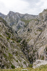 Magnificent landscape of the Cares gorge in the Picos de Europa mountains in Asturias, Spain