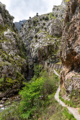 Magnificent landscape of the Cares gorge in the Picos de Europa mountains in Asturias, Spain