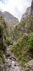 Magnificent landscape of the Cares gorge in the Picos de Europa mountains in Asturias, Spain