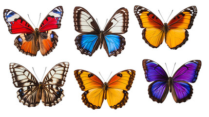 A Variety of Colorful Butterflies in Different Shapes and Patterns on a White Background