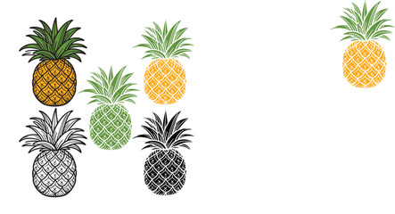 A set of Pineapple vector illustration.