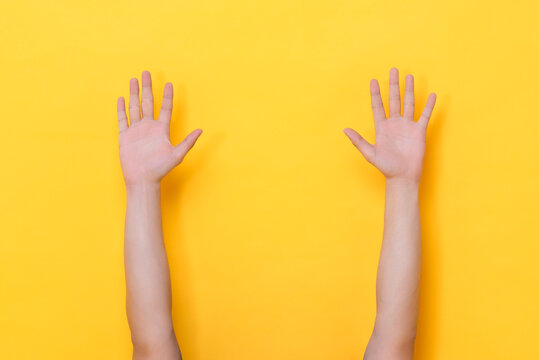 Two hands raising up with open empty palms isolated in yellow color background
