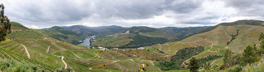 Historical grapevine agriculture for portwine in the famous Douro valley