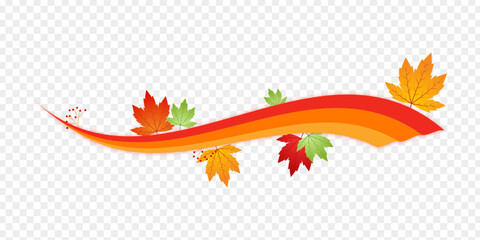 Vector illustration of maple leaves with swirl pattern on transparent background