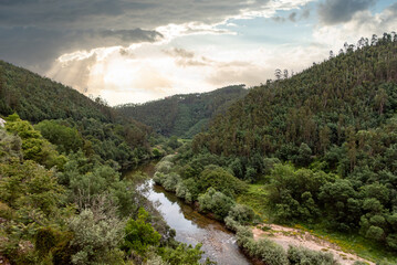 Mondego river flowing through a tranquil forest landscape
