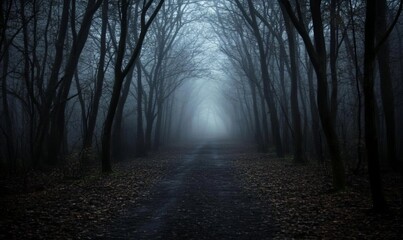 Naklejka premium A mysterious path through a dense forest, shrouded in fog, leading to an unknown destination.