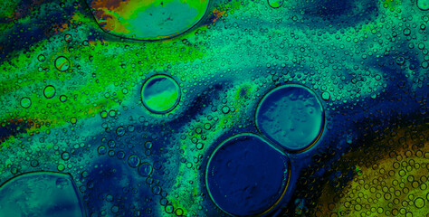 Dive into a Cheerful Kaleidoscope of Colors and Shapes in an Abstract Wonderland