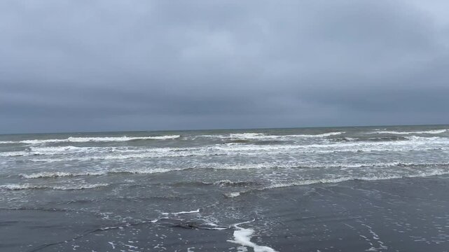 Fast moving with flying seagull alone grey coastline with waves and cloudy sky