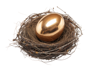 High-Quality PNG Gold egg Isolated on White Background – High Resolution