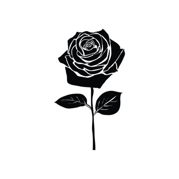 Black Rose sillhoutte vector illustration