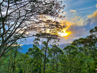 Obraz premium Journey Through Nature