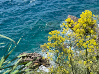 Mediterranean Sea and coast Mount Taurus, natural beauty of  Turkey 