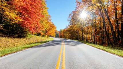 A winding two-lane road flanked by vibrant orange and red foliage, leading into a picturesque forest under a clear blue sky. The sunlight filters through the leaves, creating a warm glow that