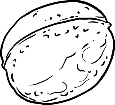 recommend clip art: Walnut Outline Illustration. Organic natural nutritional healthy food ingredient, vegetarian diet product.