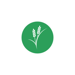 Wheat ears icon isolated on transparent background