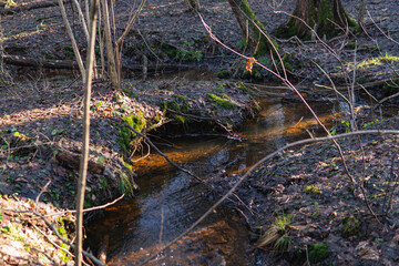 Small stream in the middle of the forest during winter season