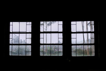 View from window in an abandoned house.