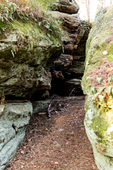 Sandstone rocks covered with green moss in coniferous forest