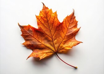 Obraz premium Aerial View of a Single Rust-Colored Leaf on White Background, Symbolizing Simplicity and Autumn Aesthetic