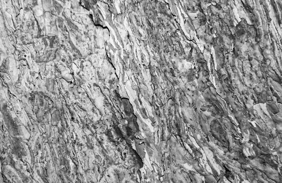 Black Noise and Static Abstract Background for Modern Designs