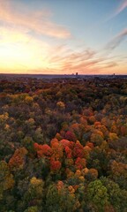 Aerial view of autumn foliage with city skyline at sunset.