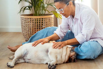 An adult woman provides reiki healing to her dog on the floor, showcasing alternative wellness...