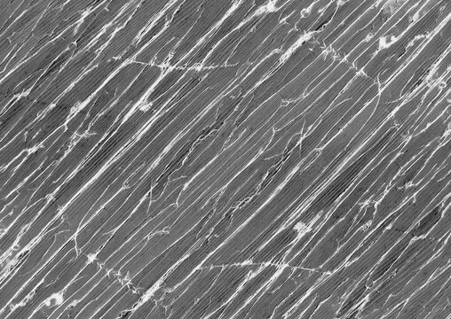 Black Noise and Static Abstract Background for Modern Designs