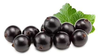 black currant with green leaf isolated on white background. clipping path