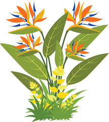 Vector illustration of bird paradise flower with grass